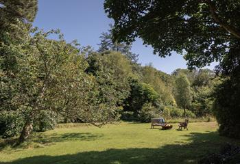 Listen to the morning birdsong while you sip a cuppa.