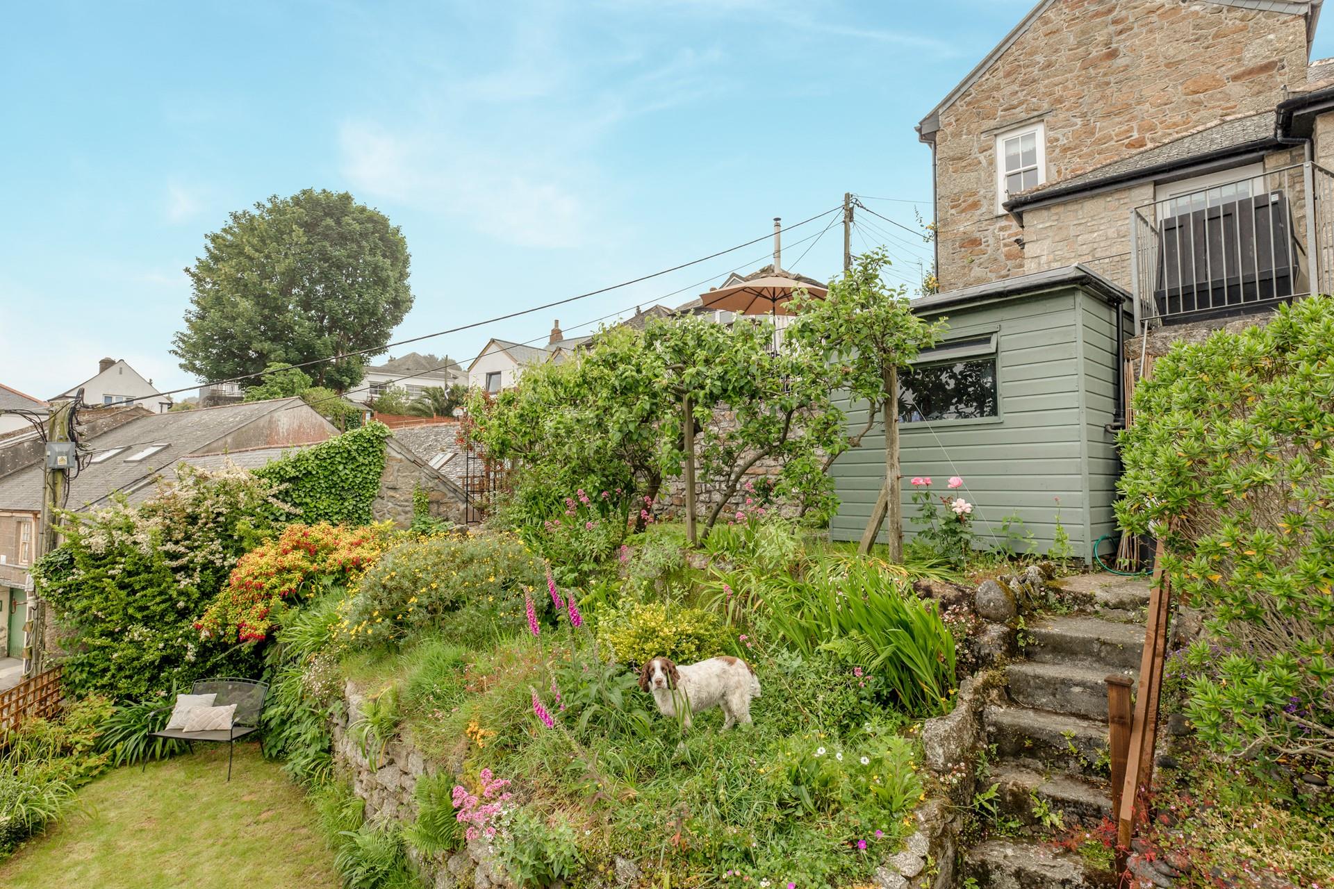 Your four-legged friend can enjoy playing in the garden. 