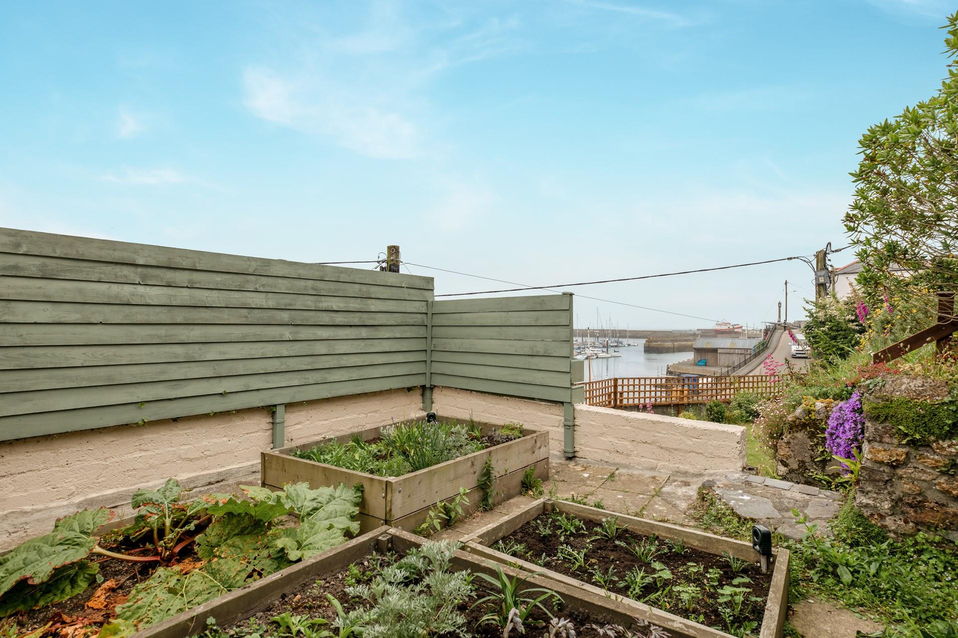 The vegetable patch is a fruitful addition to the garden!