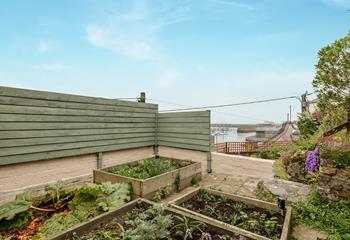 The vegetable patch is a fruitful addition to the garden!