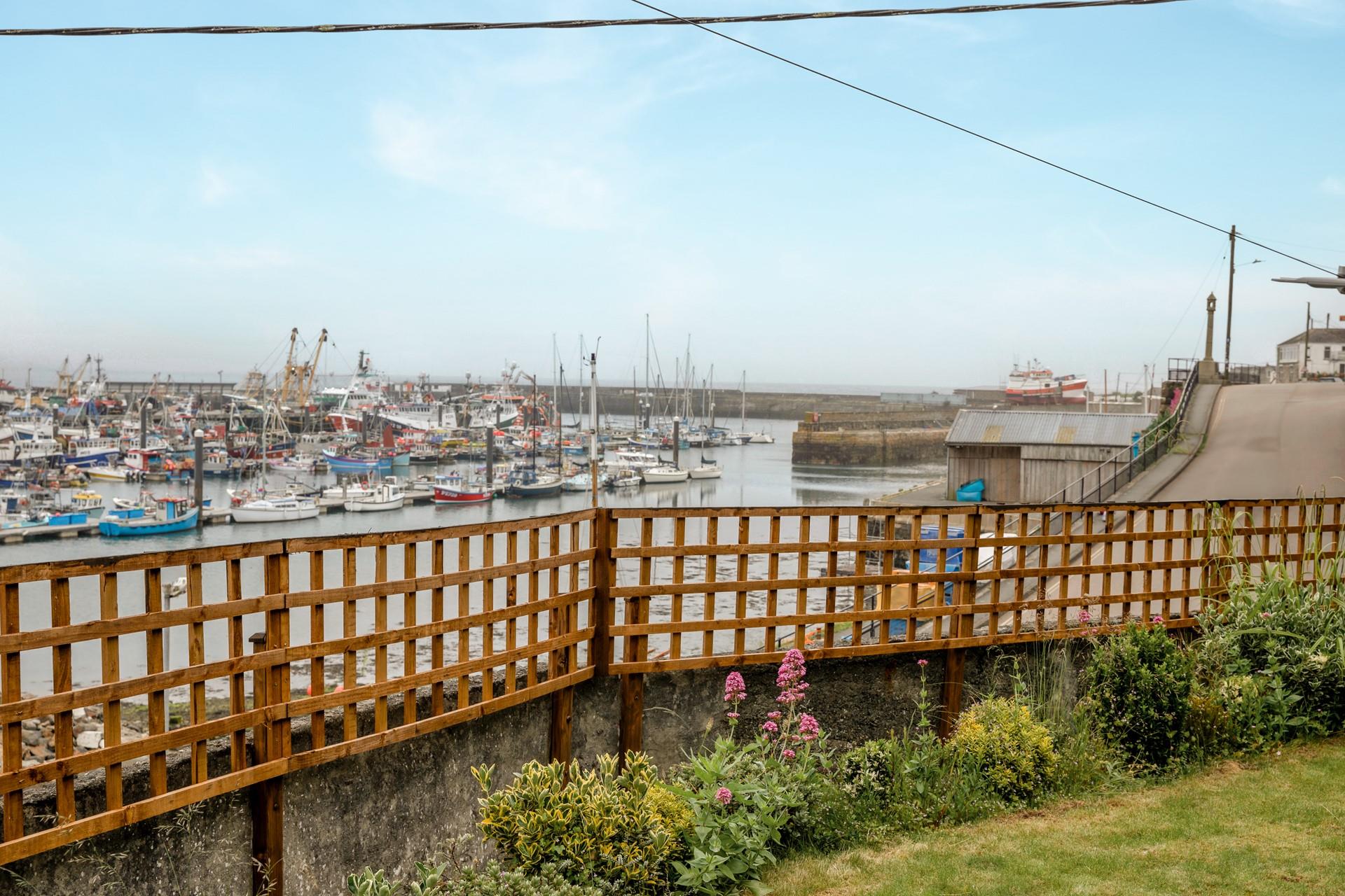 Watch the fisherman come and go into Newlyn Harbour. 