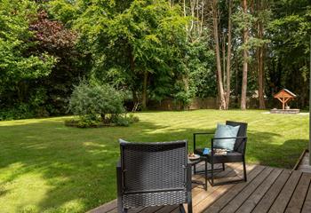 Set within the trees, with access to the coast path from the woodlands just a short walk away!