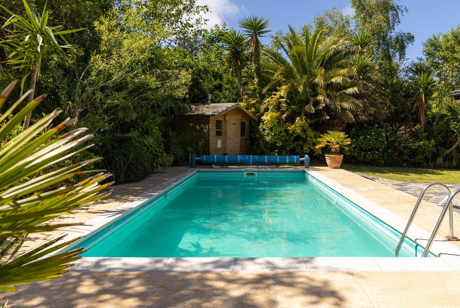 Relax in the beautiful sub-tropical garden!