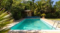Relax in the beautiful sub-tropical garden!