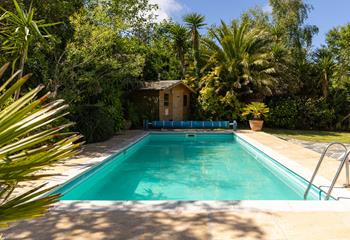 Relax in the beautiful sub-tropical garden!